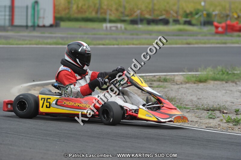 DSC_5523.JPG