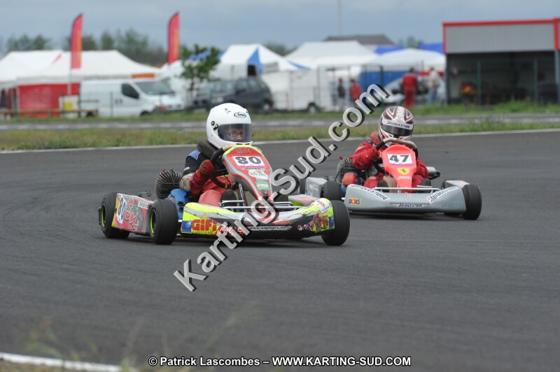 DSC_5547.JPG