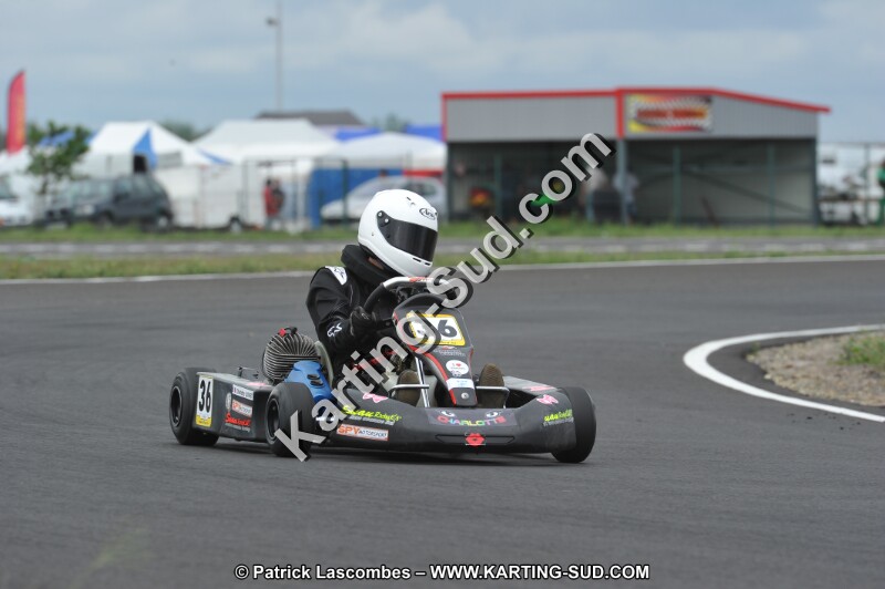DSC_5558.JPG