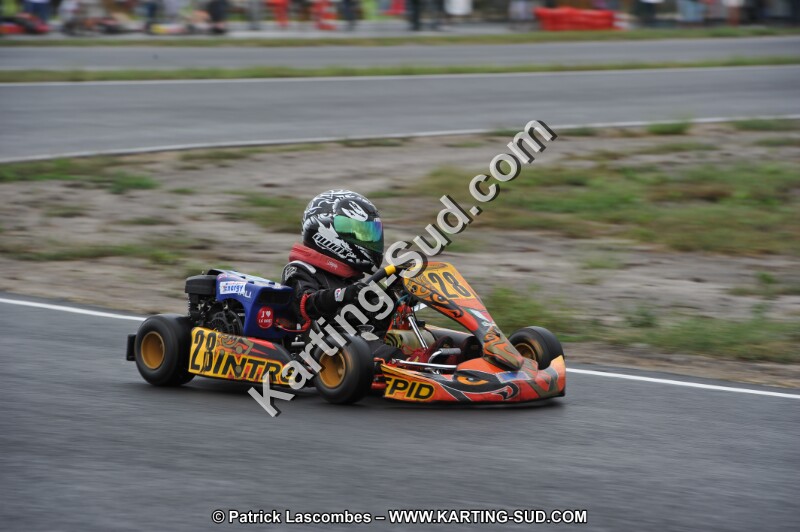 DSC_5910.JPG