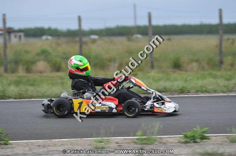 DSC_5998.JPG