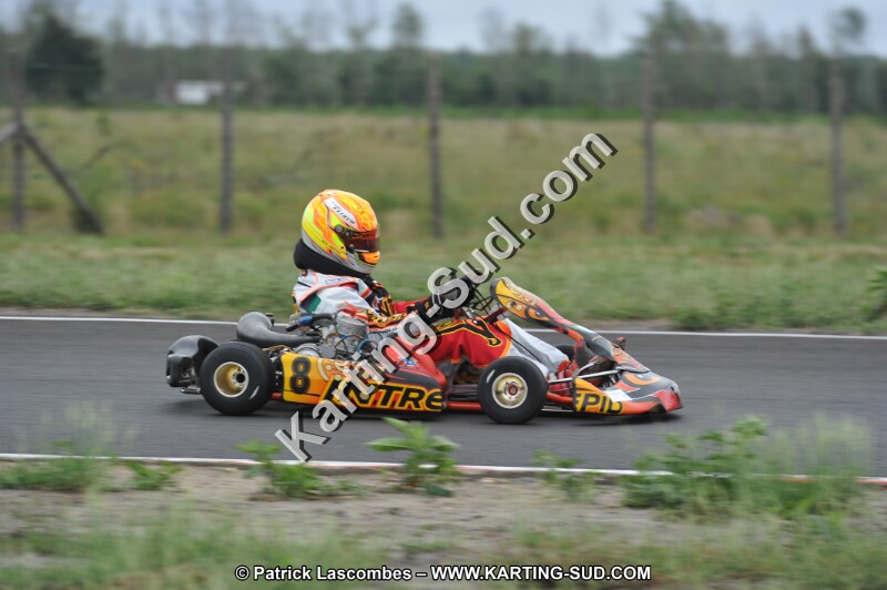 DSC_5999.JPG