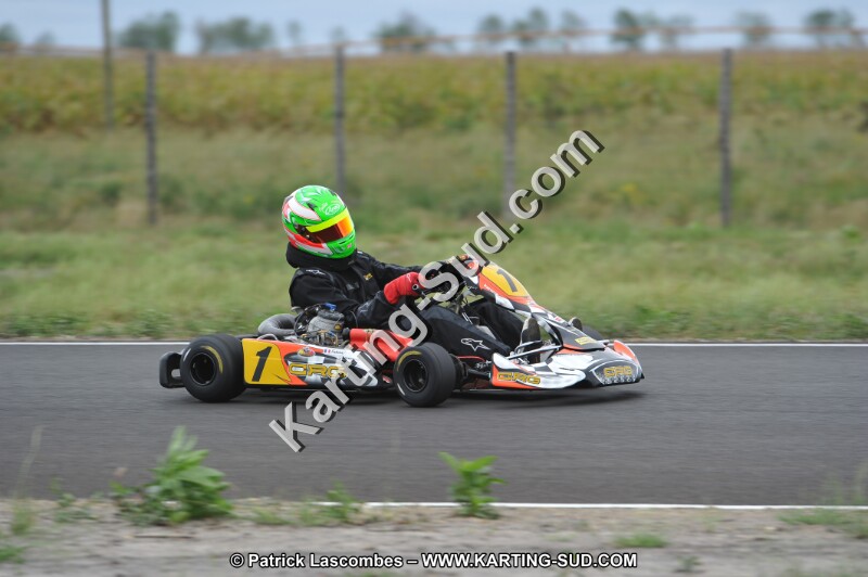 DSC_6003.JPG