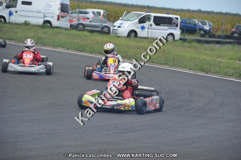 DSC_6071.JPG