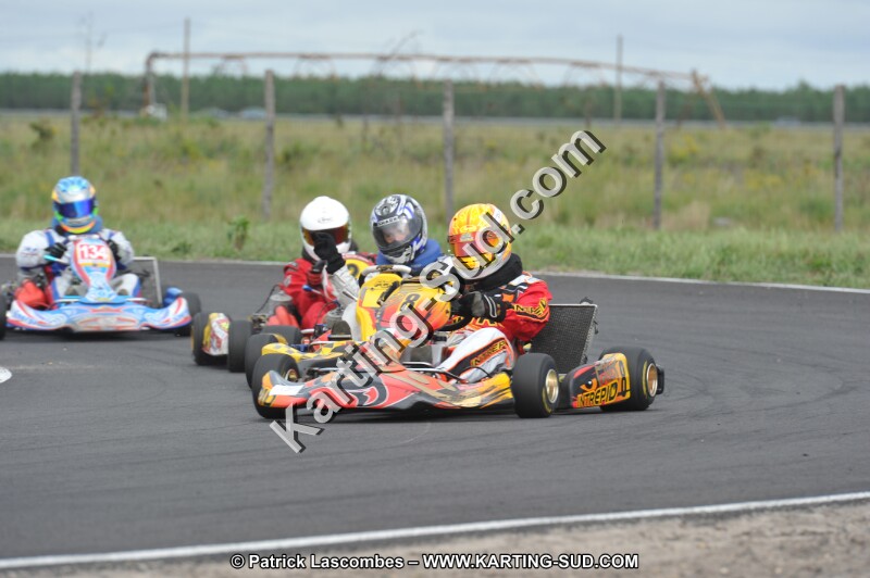 DSC_6131.JPG