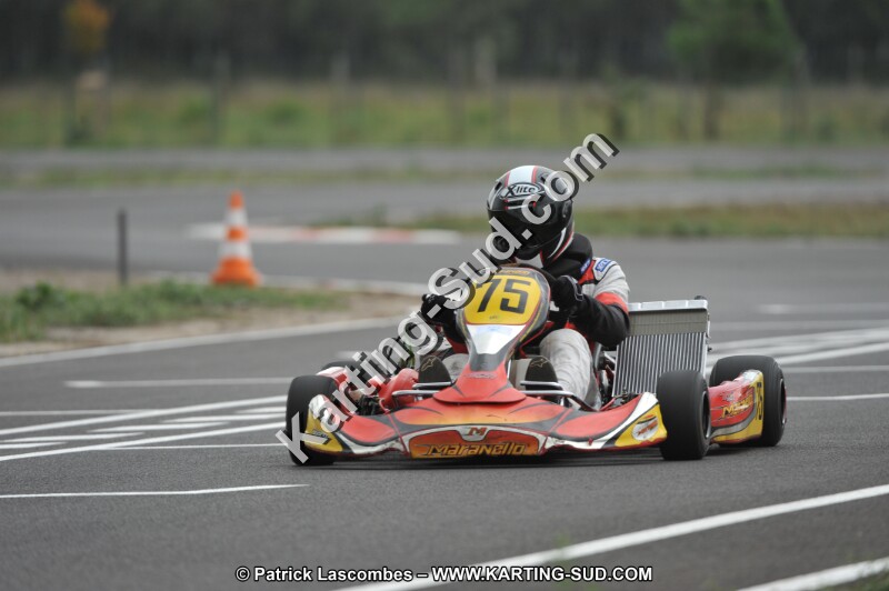 DSC_6887.JPG