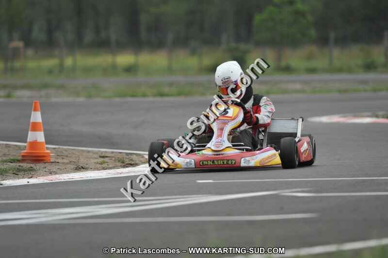 DSC_6910.JPG