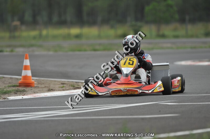 DSC_6911.JPG