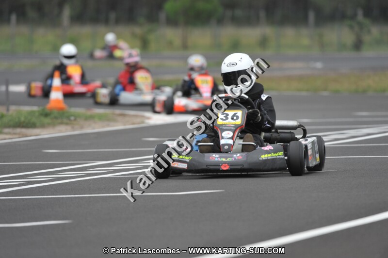 DSC_6936.JPG