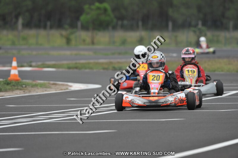 DSC_6937.JPG
