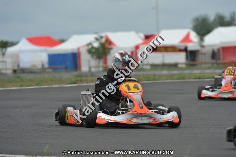 DSC_7240.JPG