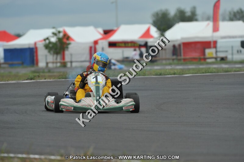 DSC_7317.JPG