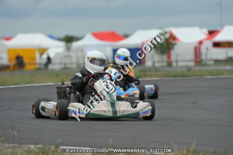 DSC_7319.JPG