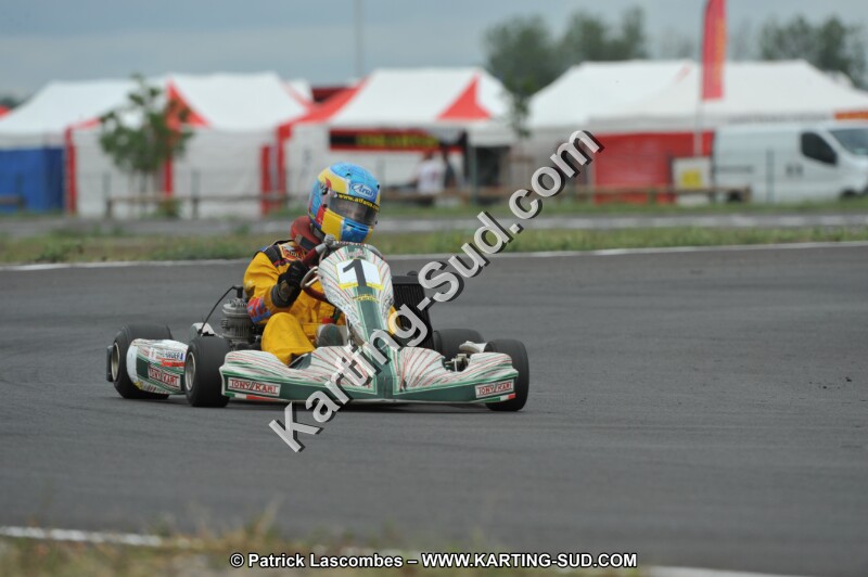 DSC_7329.JPG