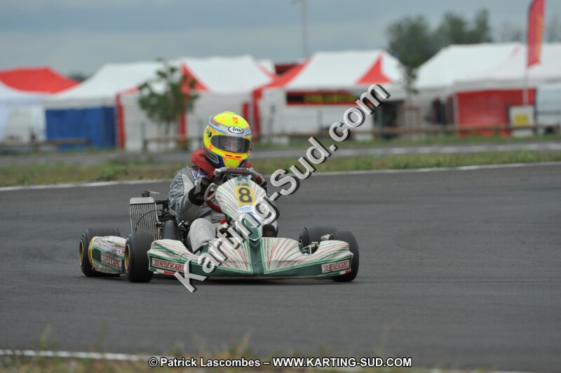 DSC_7335.JPG