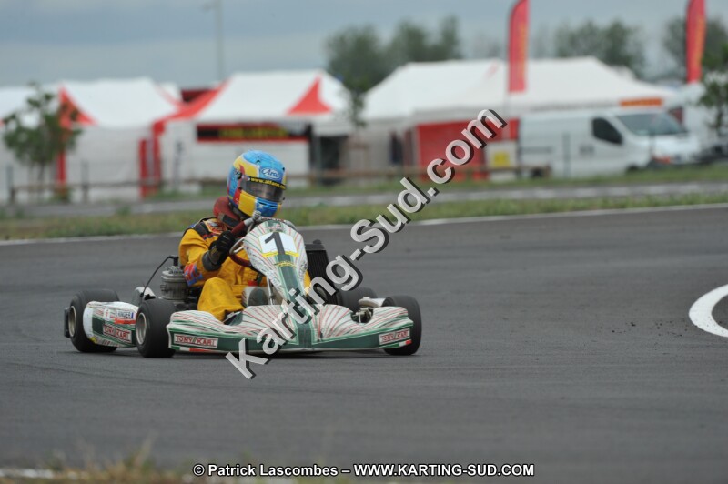 DSC_7348.JPG