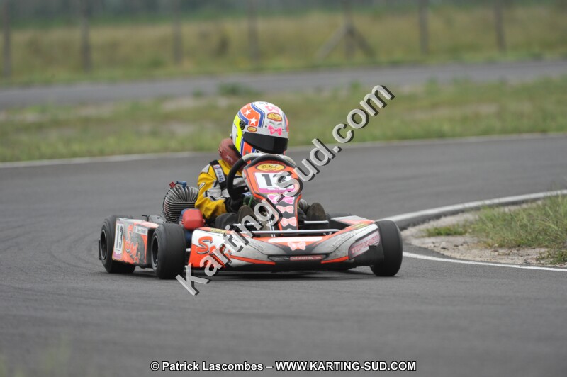 DSC_7377.JPG