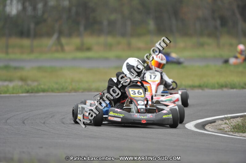 DSC_7380.JPG