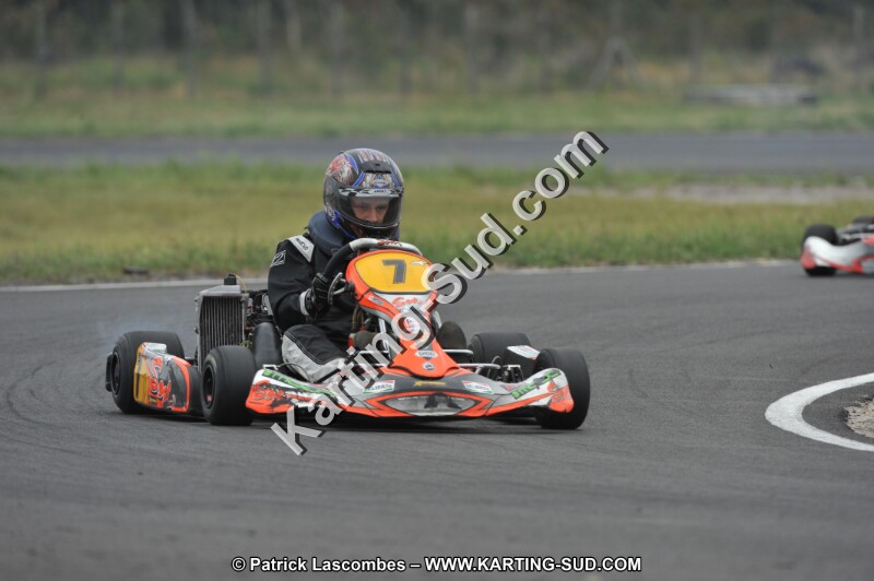 DSC_7391.JPG