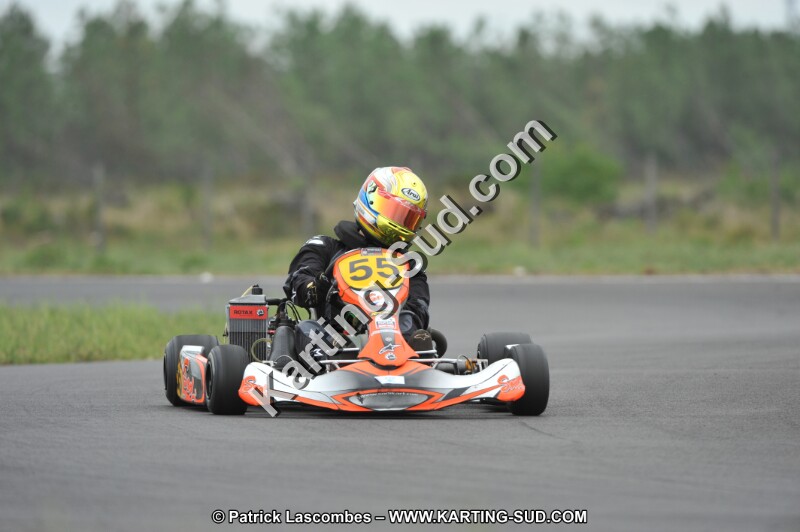 DSC_7431.JPG