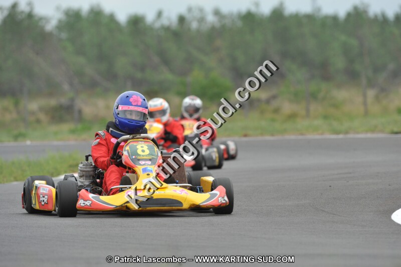 DSC_7511.JPG