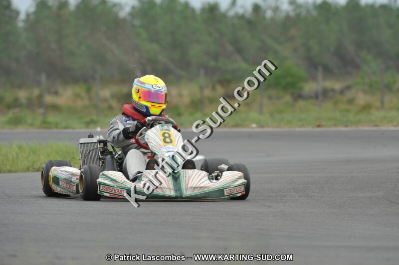 DSC_7554.JPG