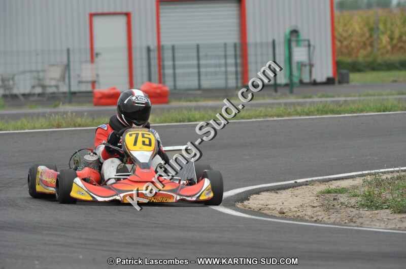DSC_7637.JPG