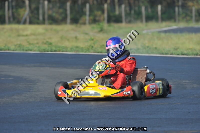 DSC_7811.JPG