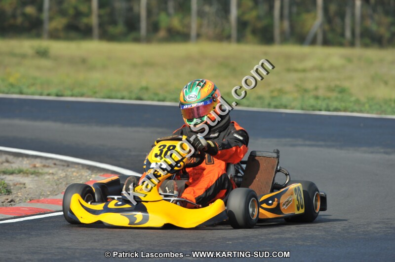 DSC_7856.JPG
