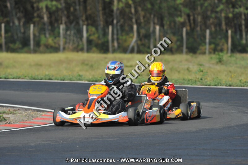 DSC_7881.JPG