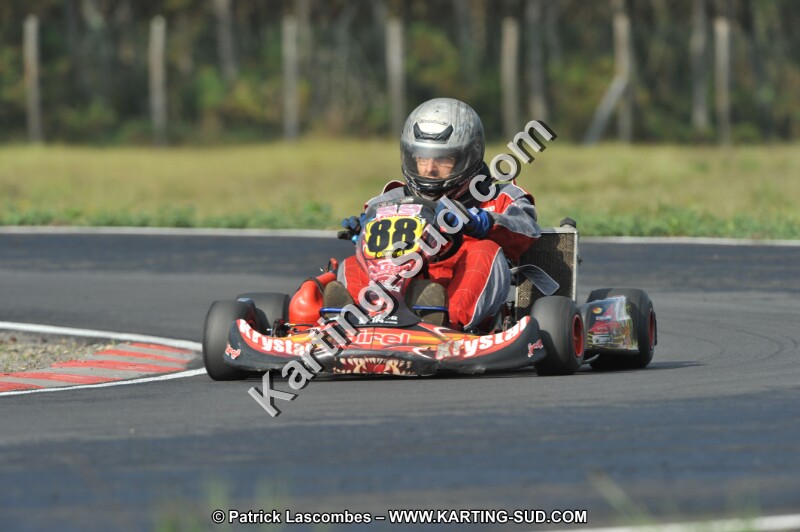 DSC_7890.JPG