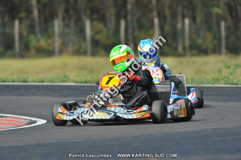 DSC_7894.JPG