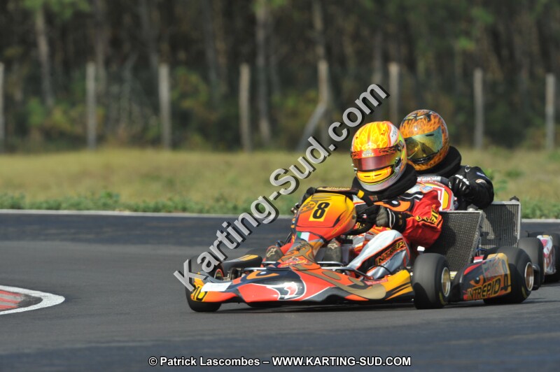 DSC_7895.JPG