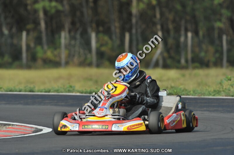 DSC_7896.JPG