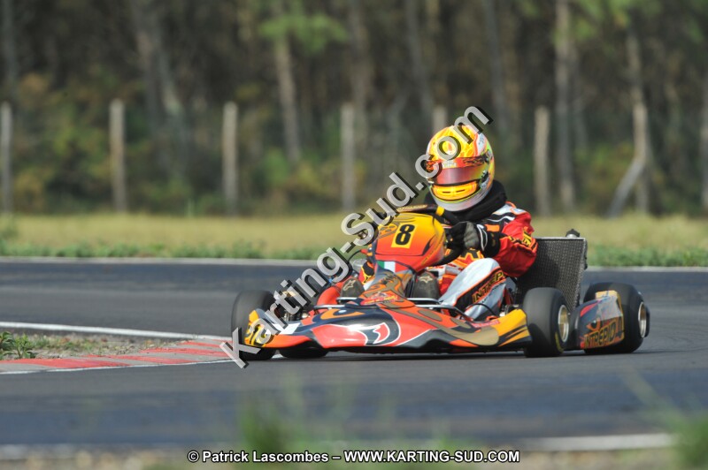 DSC_7901.JPG