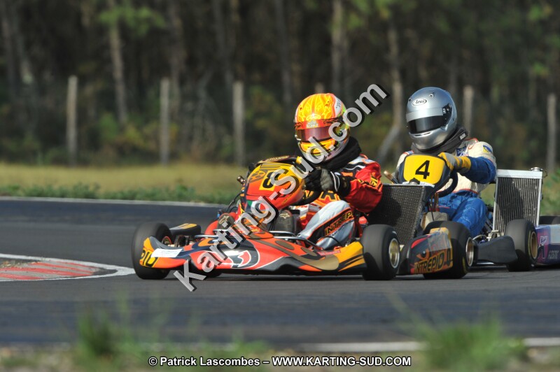 DSC_7915.JPG