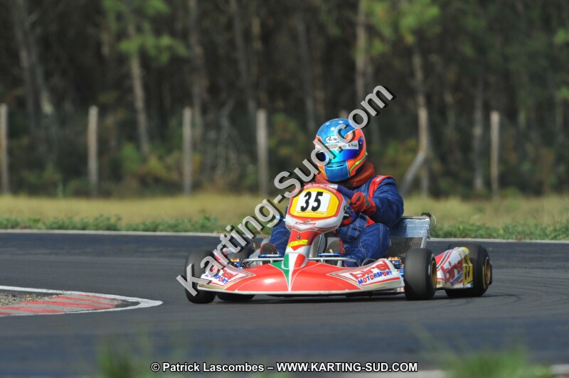 DSC_7917.JPG