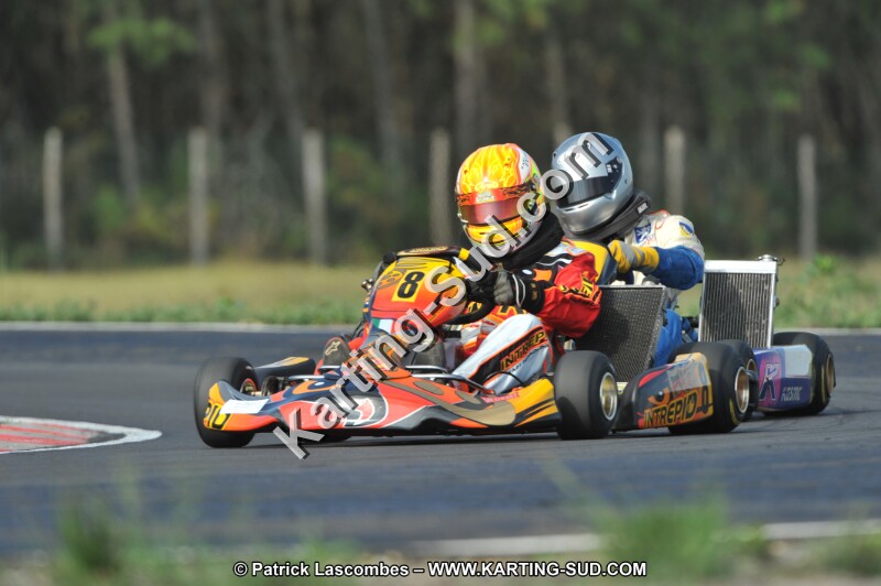 DSC_7928.JPG