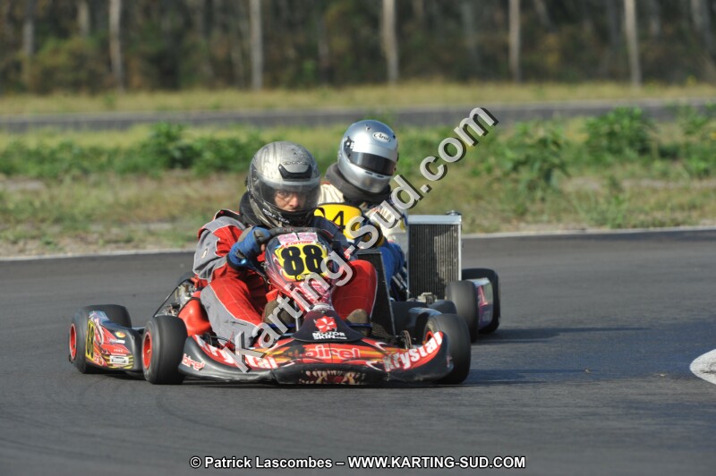 DSC_7935.JPG