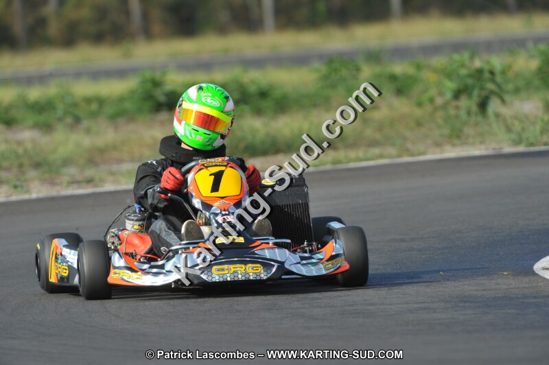 DSC_7936.JPG