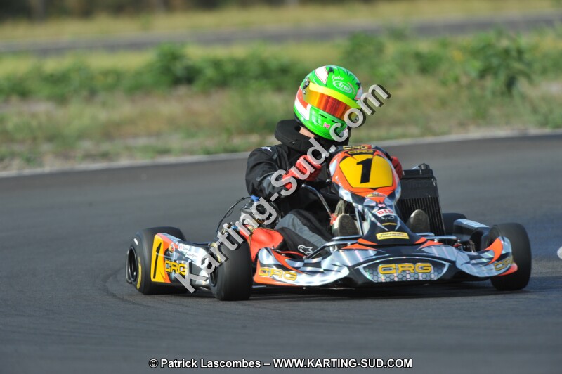 DSC_7948.JPG