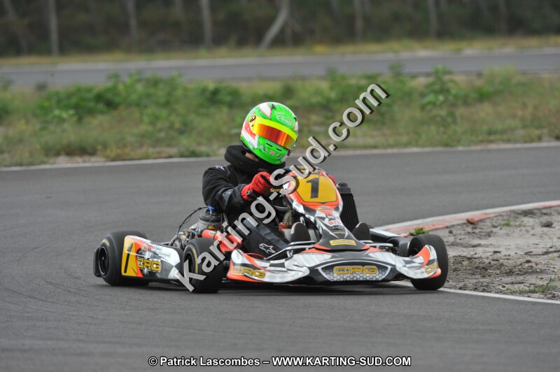 DSC_7949.JPG