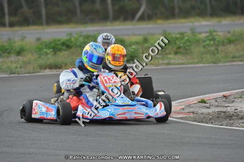 DSC_7953.JPG