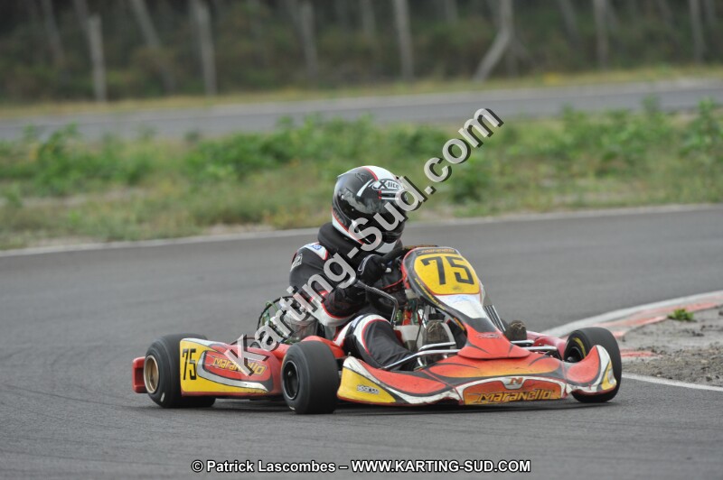 DSC_7961.JPG
