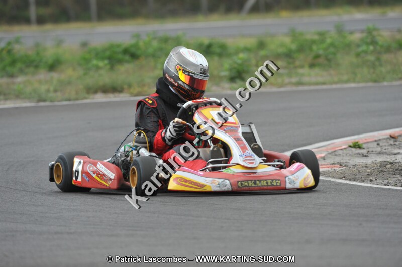 DSC_7964.JPG