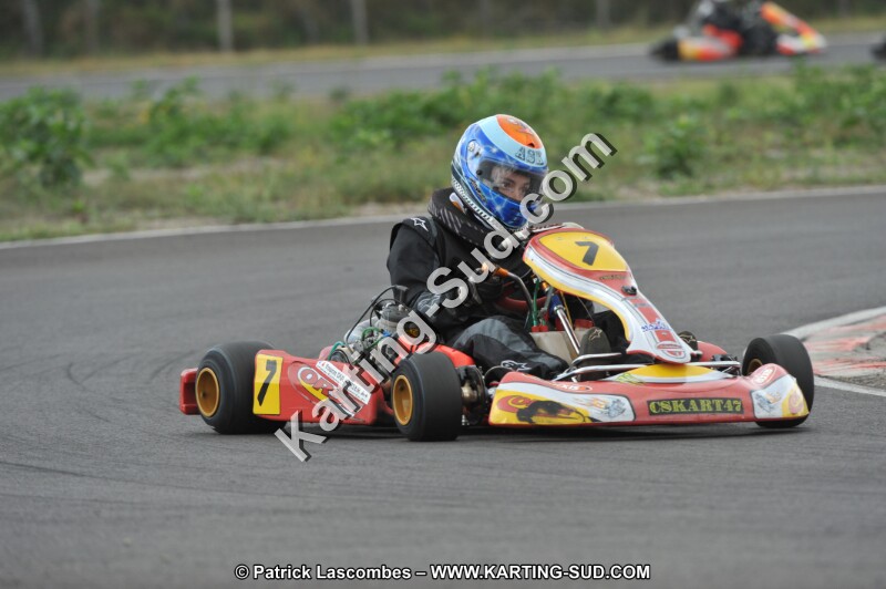 DSC_7966.JPG