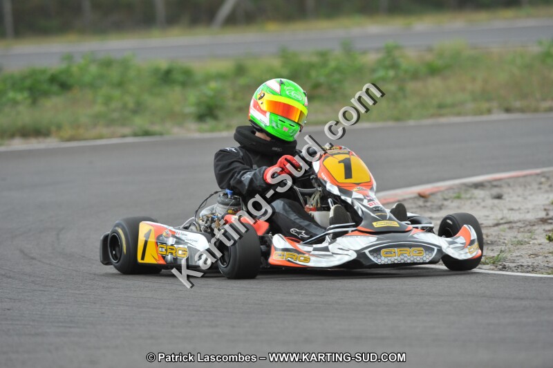 DSC_7977.JPG