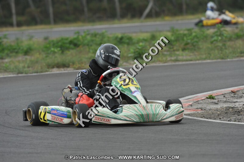 DSC_7978.JPG
