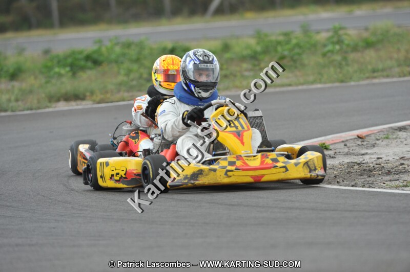 DSC_7981.JPG