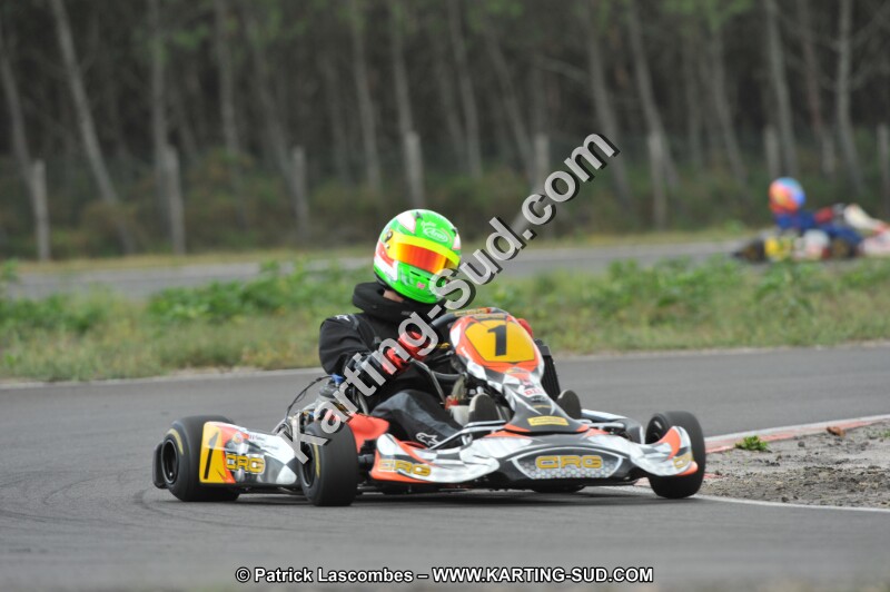 DSC_7988.JPG